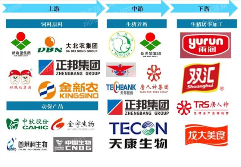 凯时尊龙·(中国)人生就是搏!官网