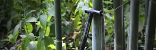 凯时尊龙·(中国)人生就是搏!官网