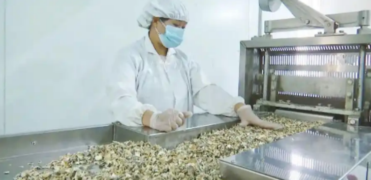 凯时尊龙·(中国)人生就是搏!官网
