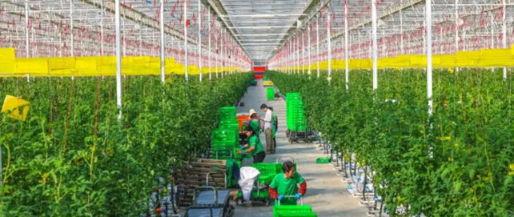 凯时尊龙·(中国)人生就是搏!官网