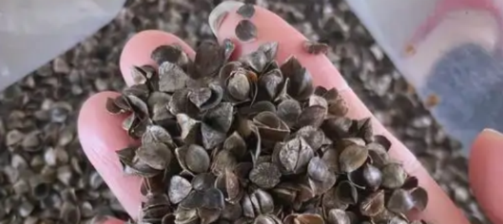 凯时尊龙·(中国)人生就是搏!官网