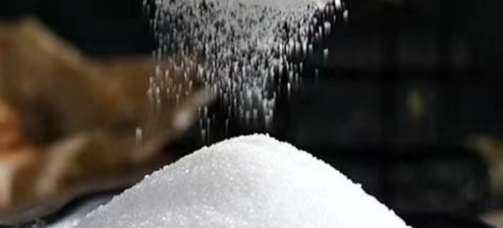 凯时尊龙·(中国)人生就是搏!官网